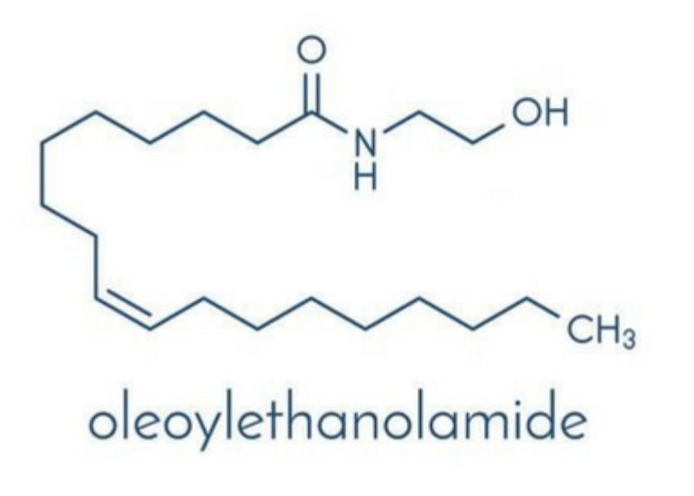 Palmitoiletanolamide